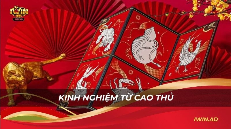Kinh nghiệm từ cao thủ